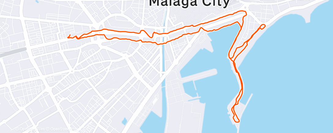 Map of the activity, Morning Run