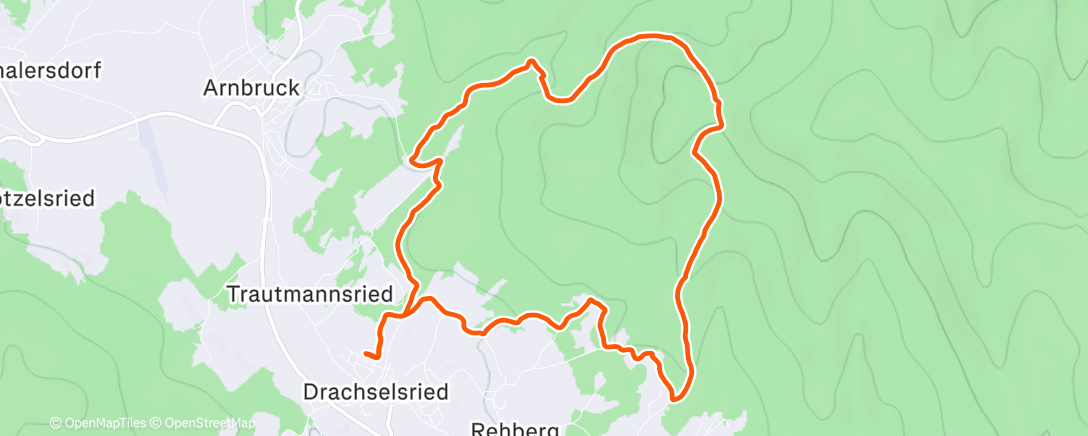 Карта физической активности (Traillauf am Nachmittag)