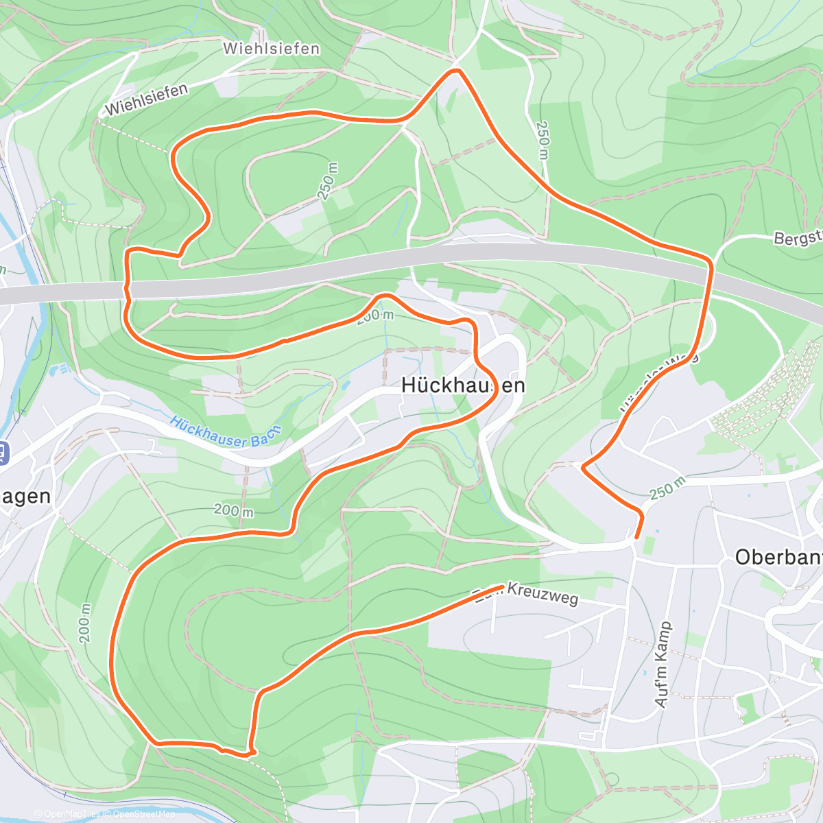 Карта физической активности (Spaziergang am Nachmittag)