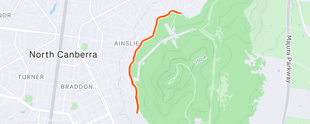 Карта физической активности (Morning Trail Run)