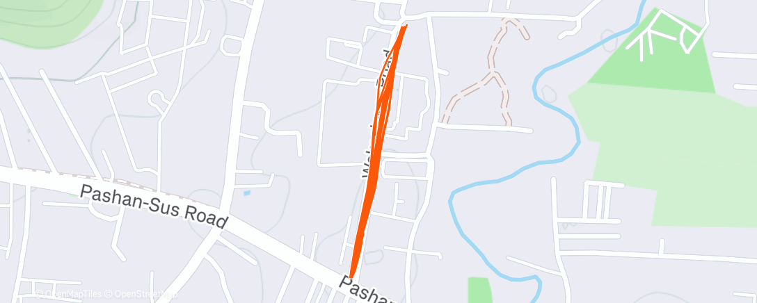 Map of the activity, Morning Run