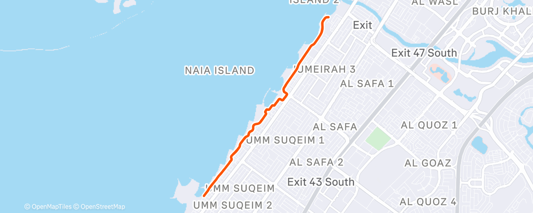 Карта физической активности (Windyyy💨)