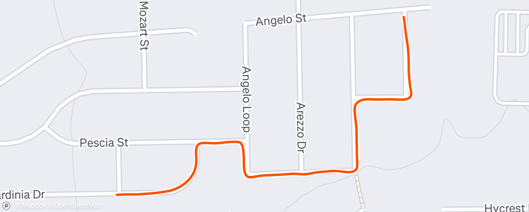 Map of the activity, Evening Run