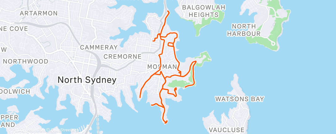 Map of the activity, Morning Ride