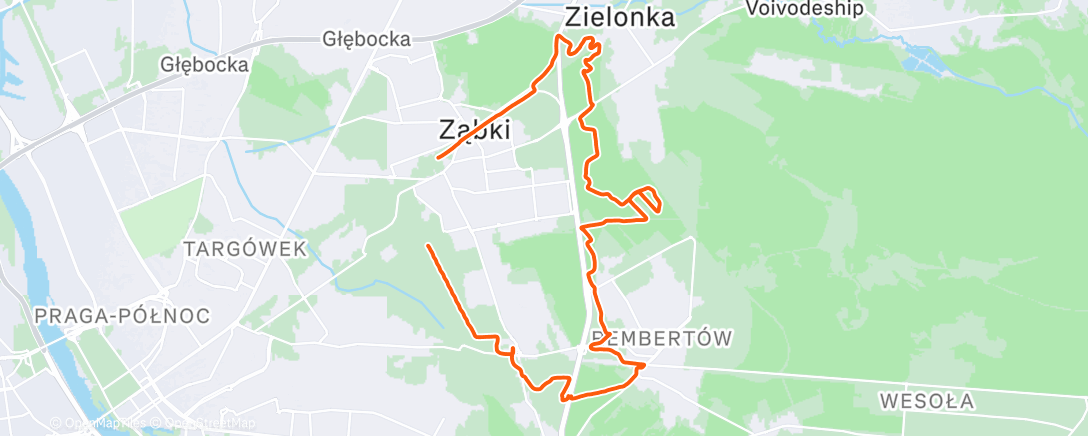 Карта физической активности (Afternoon Ride)