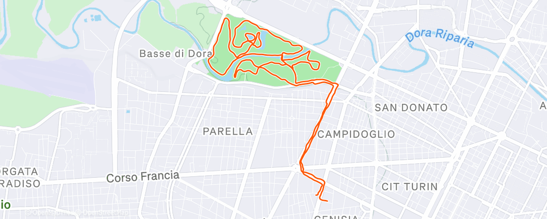 Карта физической активности (Corsa pomeridiana)