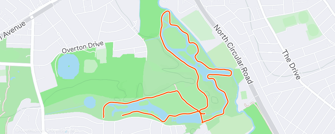 Mappa dell'attività Morning Run