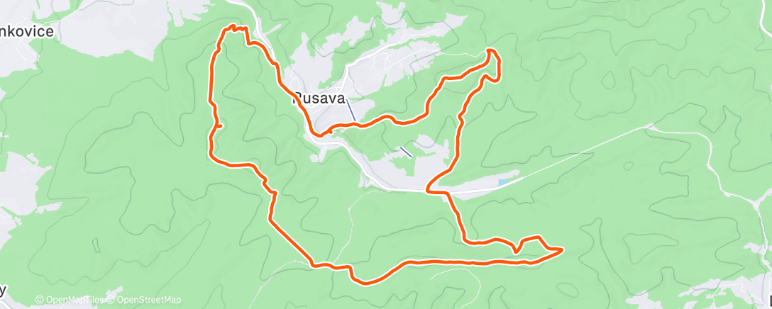 Карта физической активности (Zimní virtuální půlmaraton. To byla šichta🤪😆)