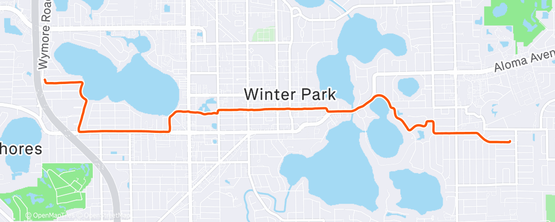 Карта физической активности (Morning Run)