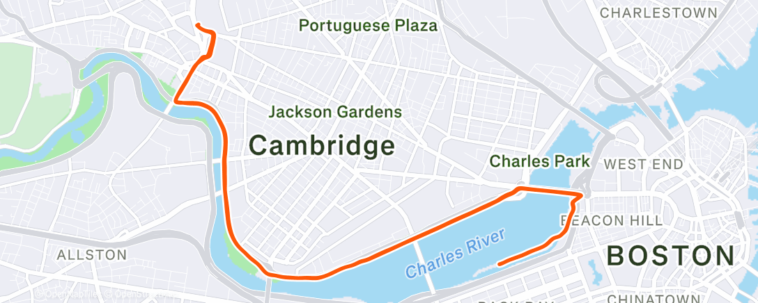 Map of the activity, Post criminal procedure exam