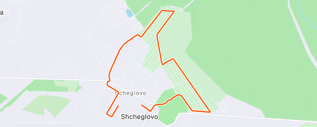 Карта физической активности (Morning Run)