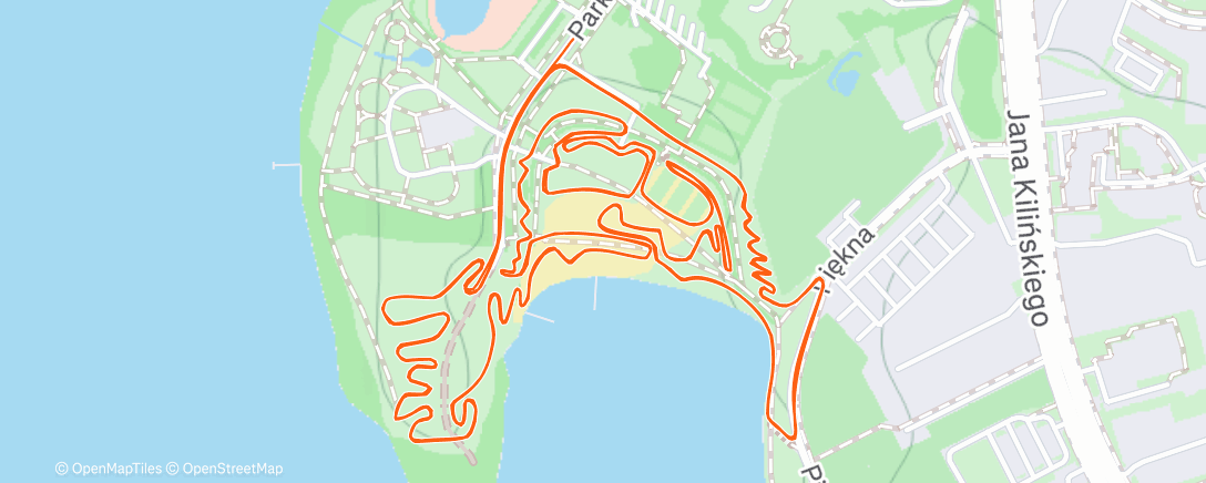 Карта физической активности (Wyścig Ełk Nocą - ale impreza!!)