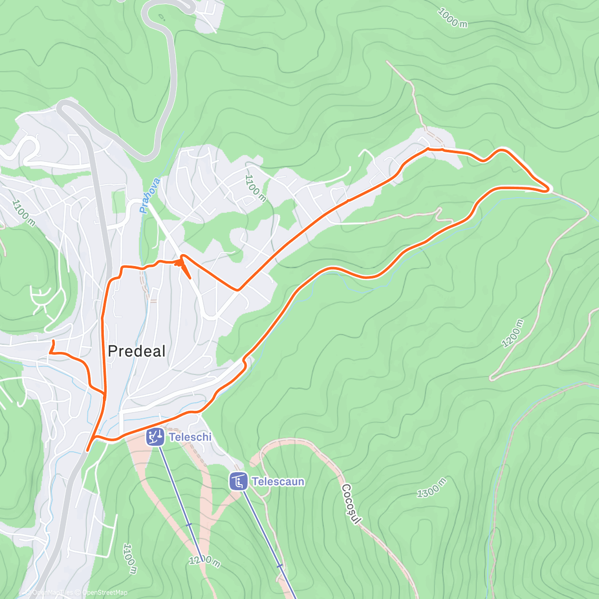 Карта физической активности (Afternoon Walk)