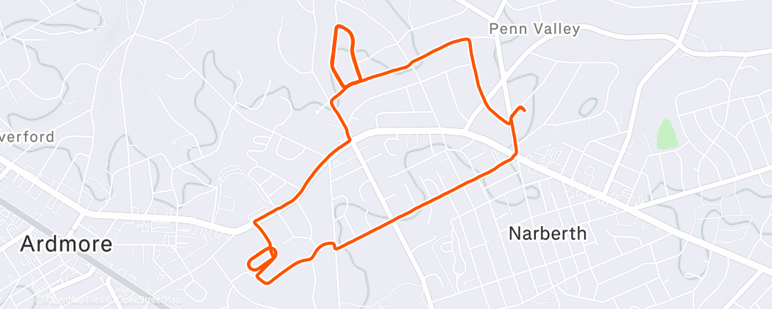 Map of the activity, afrofuture