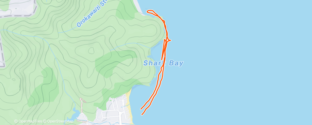 Карта физической активности (Waihi Beach to Orokawa Bay)
