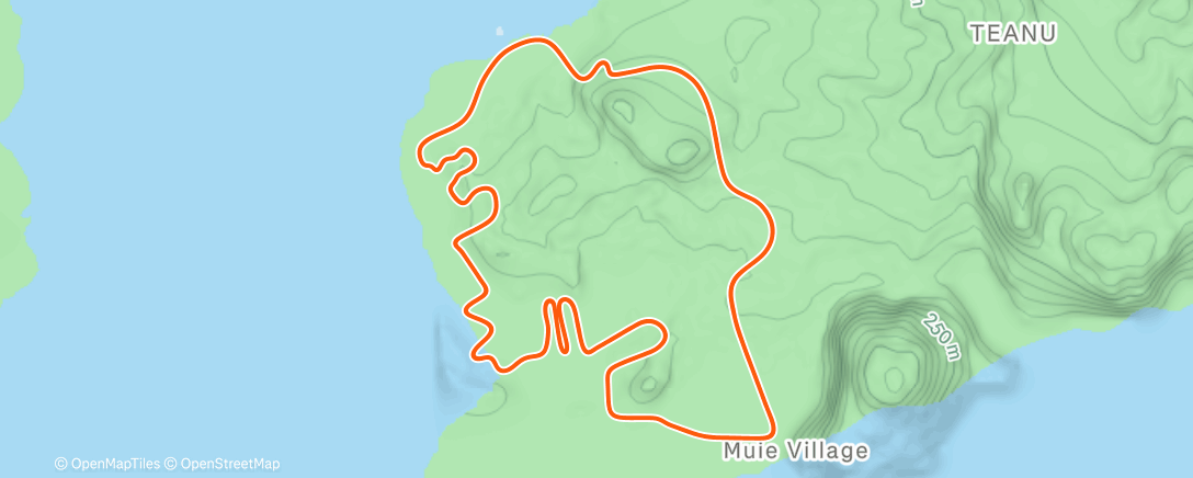 Map of the activity, Zwift - : Tempos + activation on Flat Route in Watopia