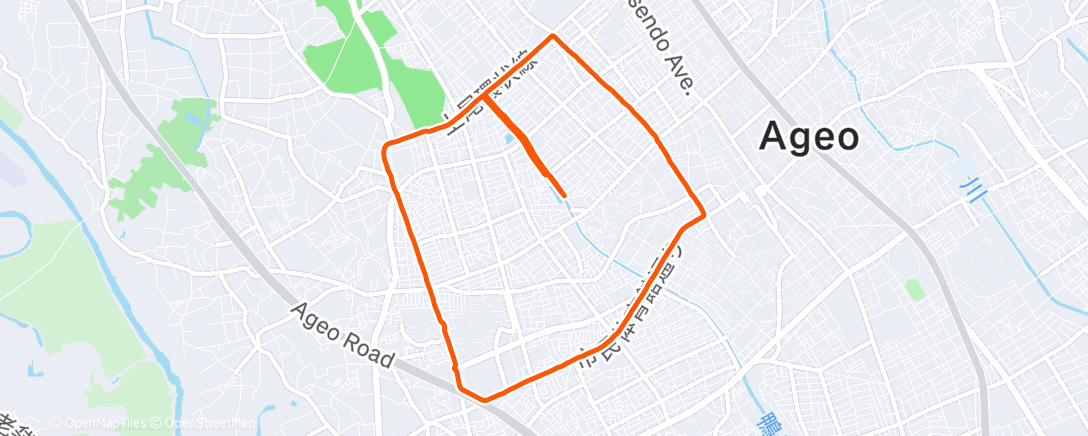 Map of the activity, Morning Run
