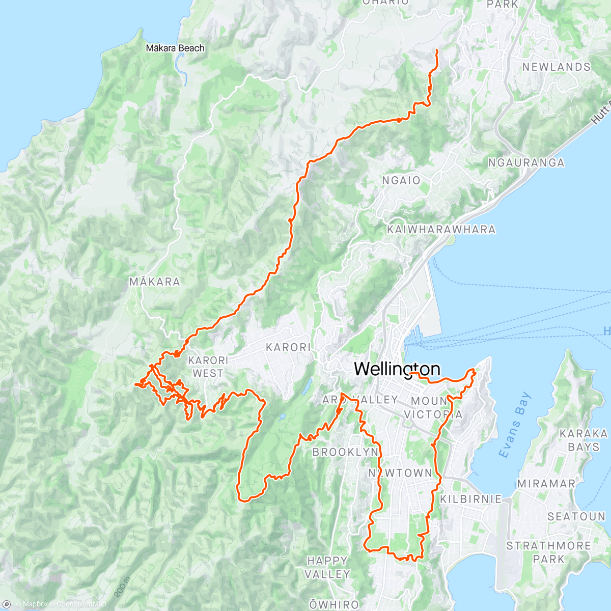Map of the activity, Evening Trail Run 🏃🏃‍♂️