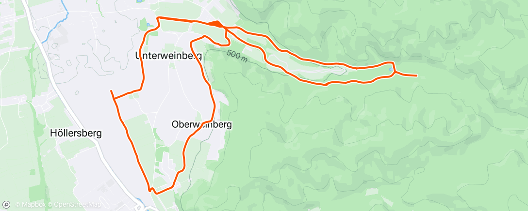 Map of the activity, Austria Backyard Ultra 24+1 Schalchen