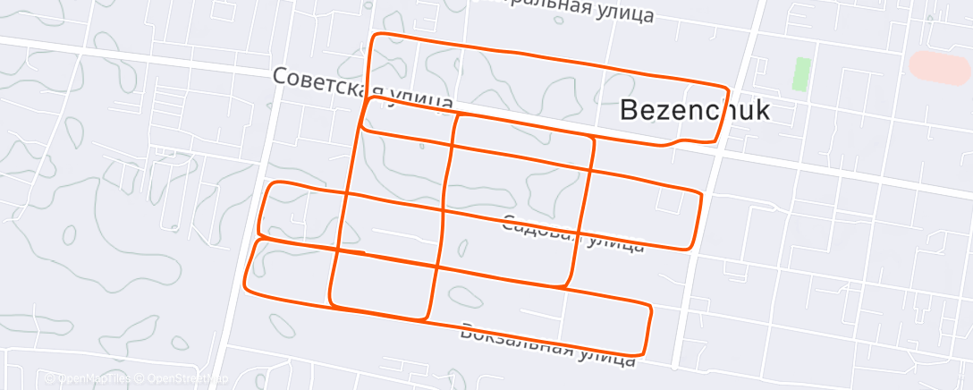 Карта физической активности (Дневной забег)