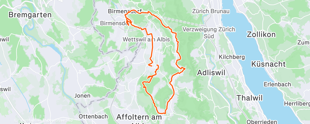 Map of the activity, 1/3 der Quest 1 des Züri Velo Cup Winter Quest