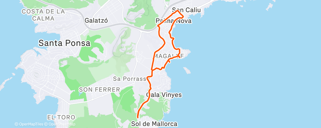 Карта физической активности (Easy Slow Run Was the Plan 🏃‍♂️🏃‍♂️)