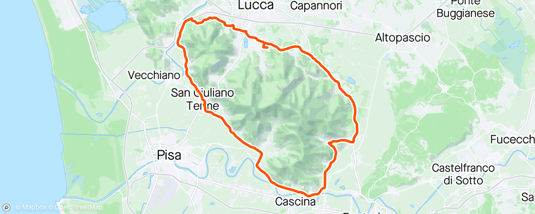Map of the activity, La vita e bella