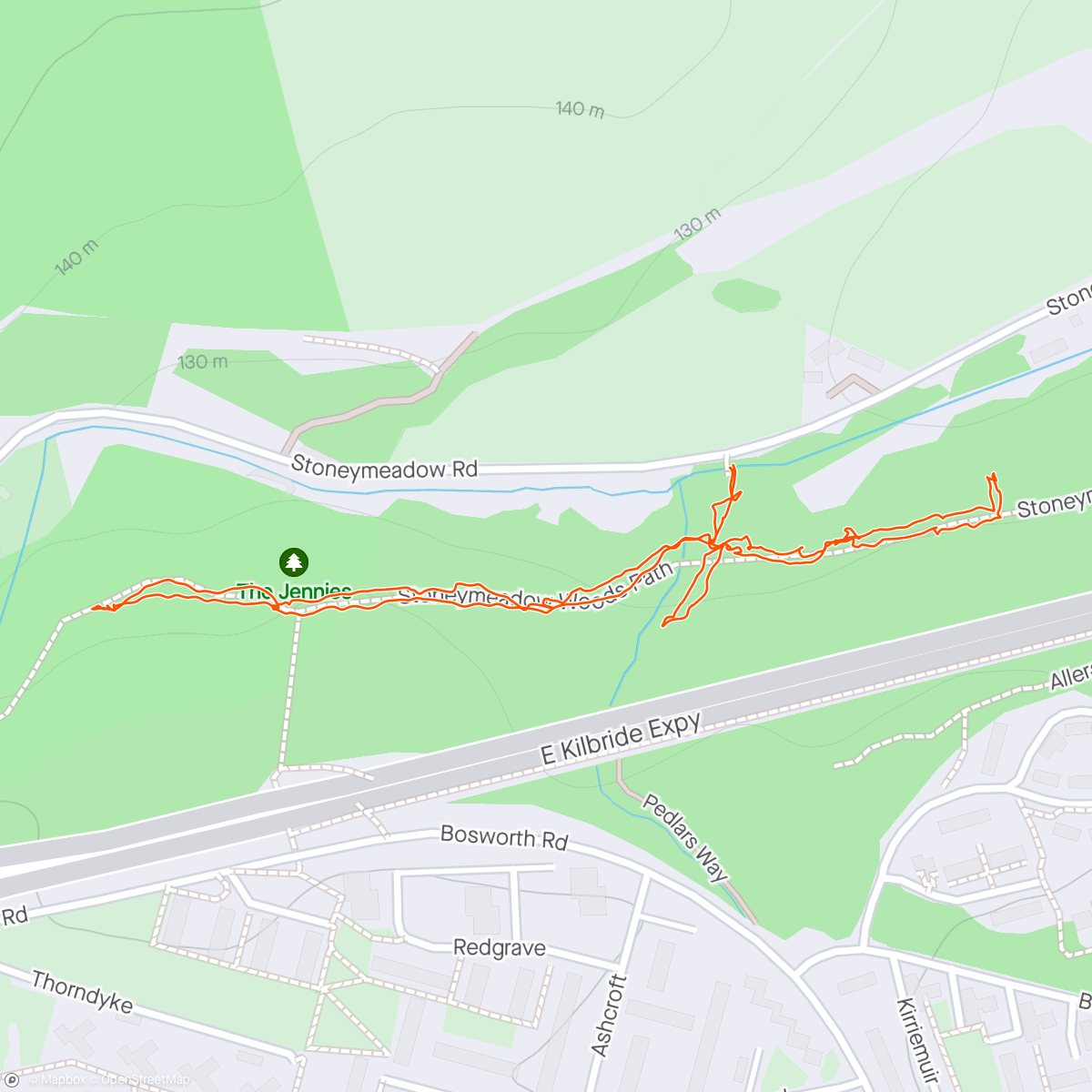 Map of the activity, Stoneymeadow Woods
