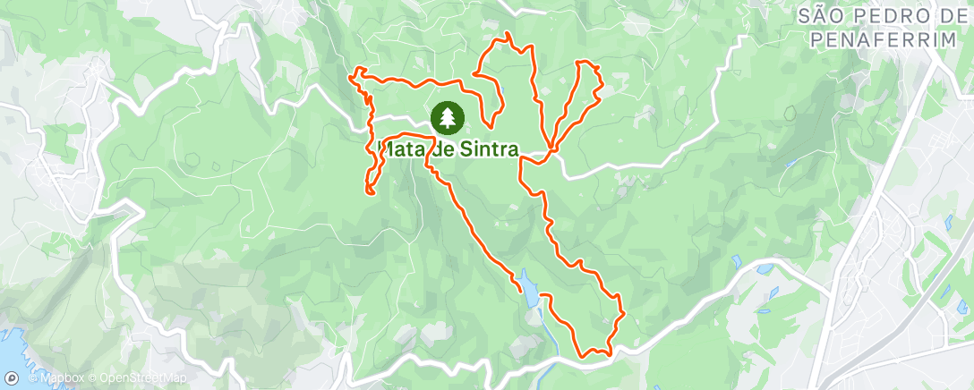 Карта физической активности (Corrida em trilho matinal)