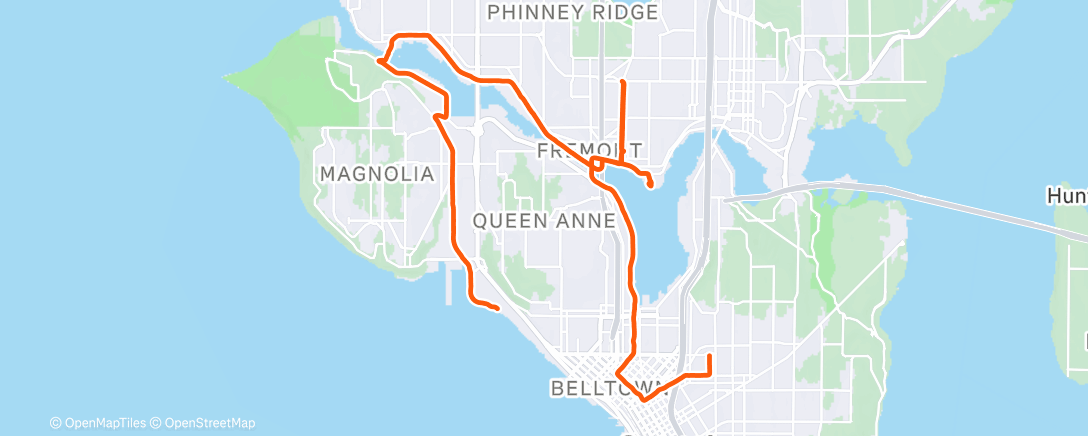 Map of the activity, Cat cafe + golden gardens + SBP