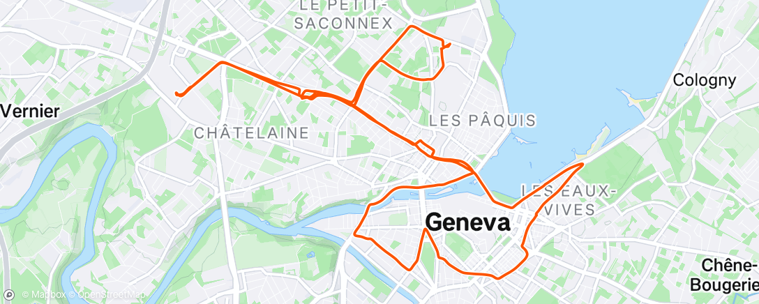 Map of the activity, "CRITICAL MASS" Genève 🚲