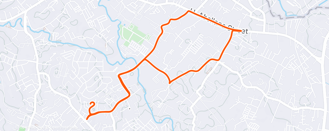 Map of the activity, Corsa di Natale