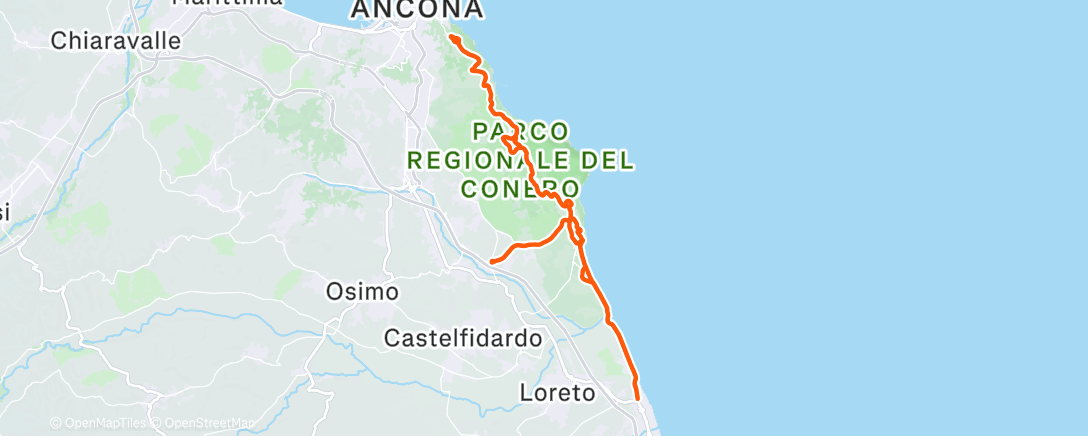 Карта физической активности (Morning Ride)