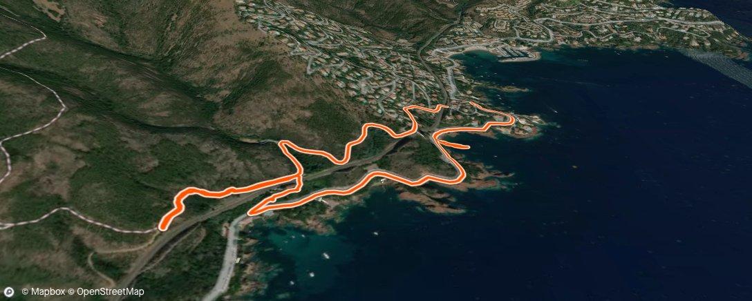 Map of the activity, Lunch Run and Swim
