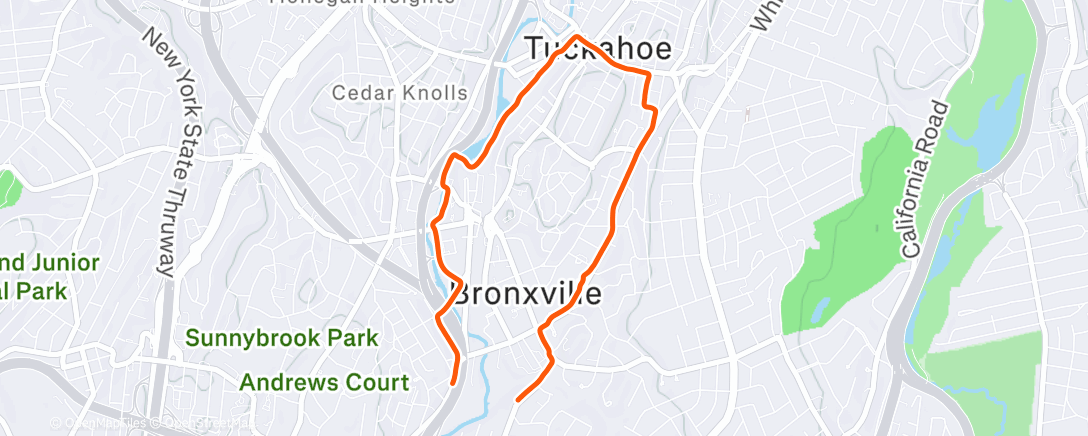 Map of the activity, Morning Run