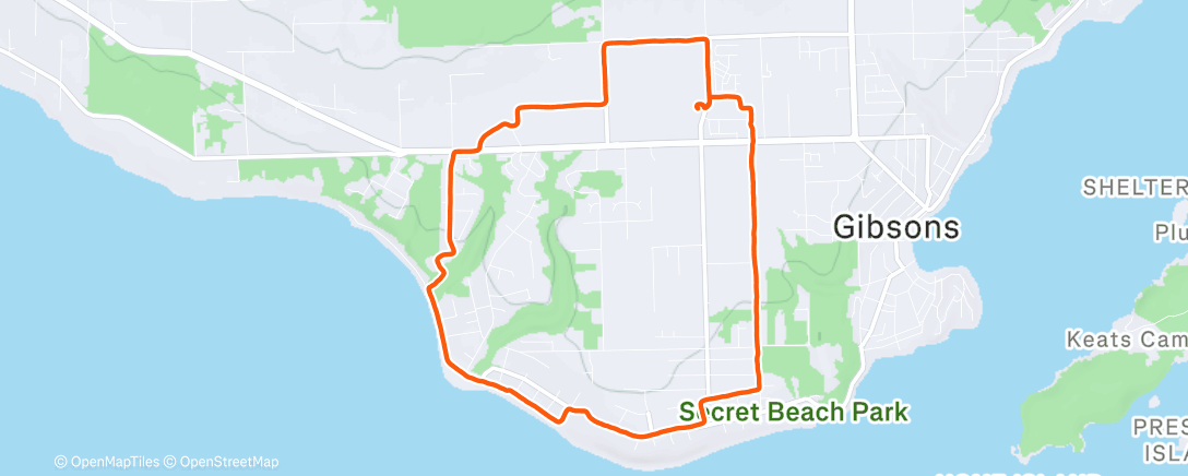 Карта физической активности (Afternoon Trail Run)