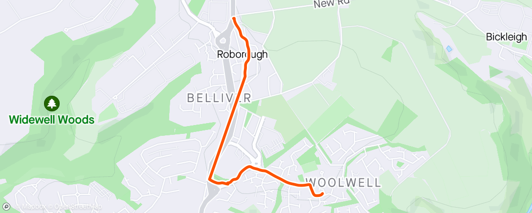 Map of the activity, Jog To Roborough And Back With Coby