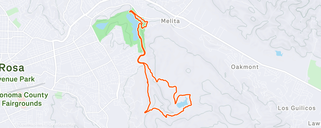 Map of the activity, Indoor Cat 🐈 got outside 🤫
