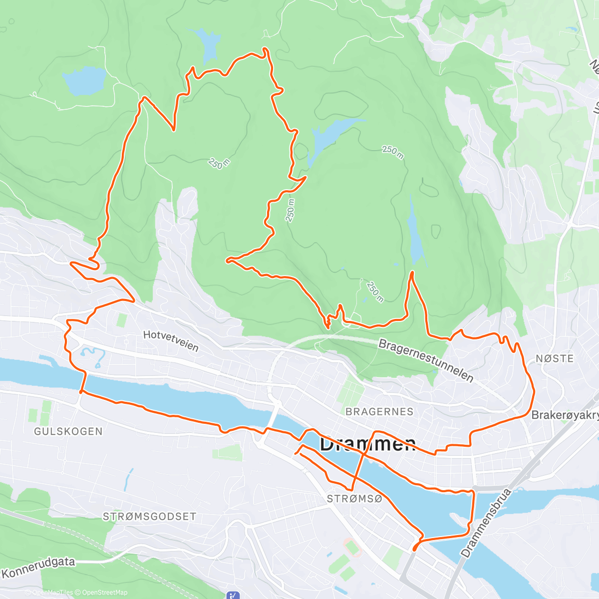 Map of the activity, 👨🏻👨🏻👨🏻🐶