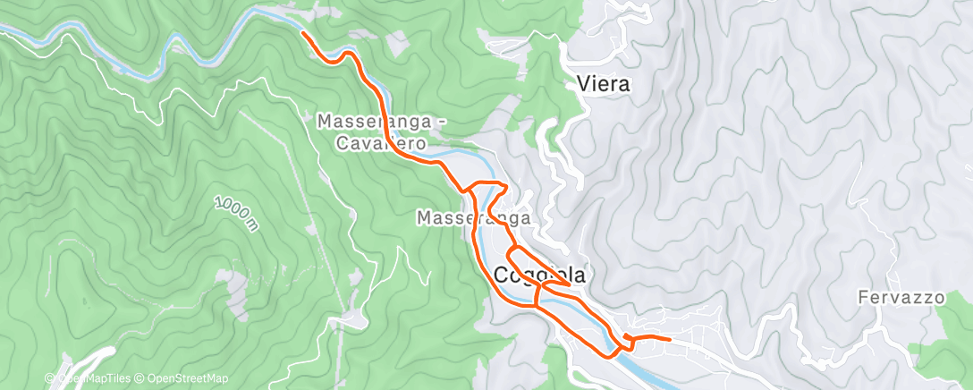 Карта физической активности (Lunch Run)