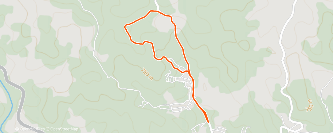 Victória Guimarães | Strava Runner Profile