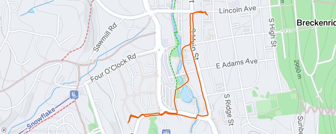 Map of the activity, Walk to dinner