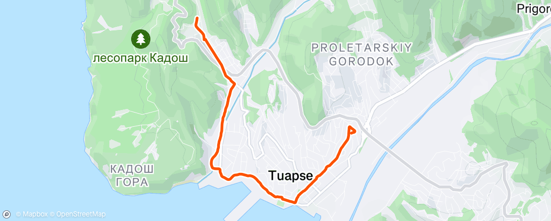 Map of the activity, Вечерняя прогулка