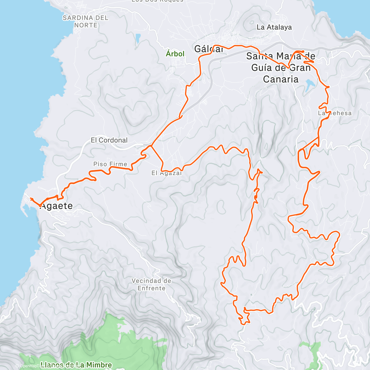 Карта физической активности (Saucy biz)