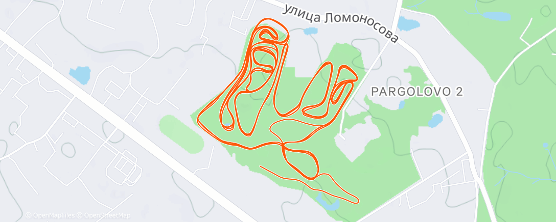 Карта физической активности (Северный лыжный заезд (день))