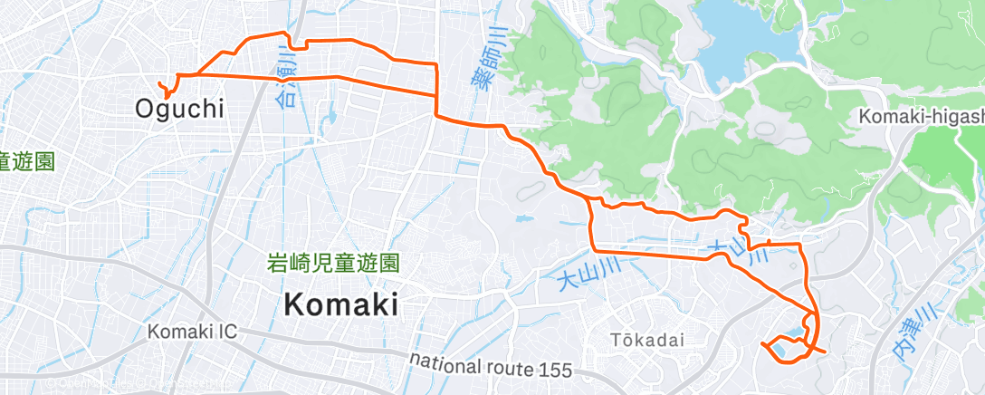 Карта физической активности (ランチタイム ライド)