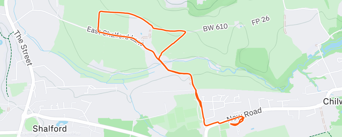 Карта физической активности (Afternoon Walk)