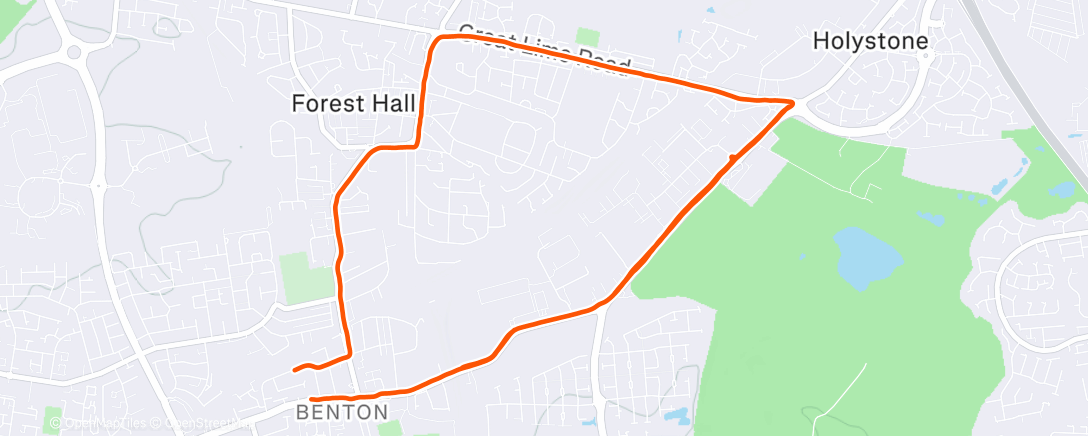 Map of the activity, Morning Run