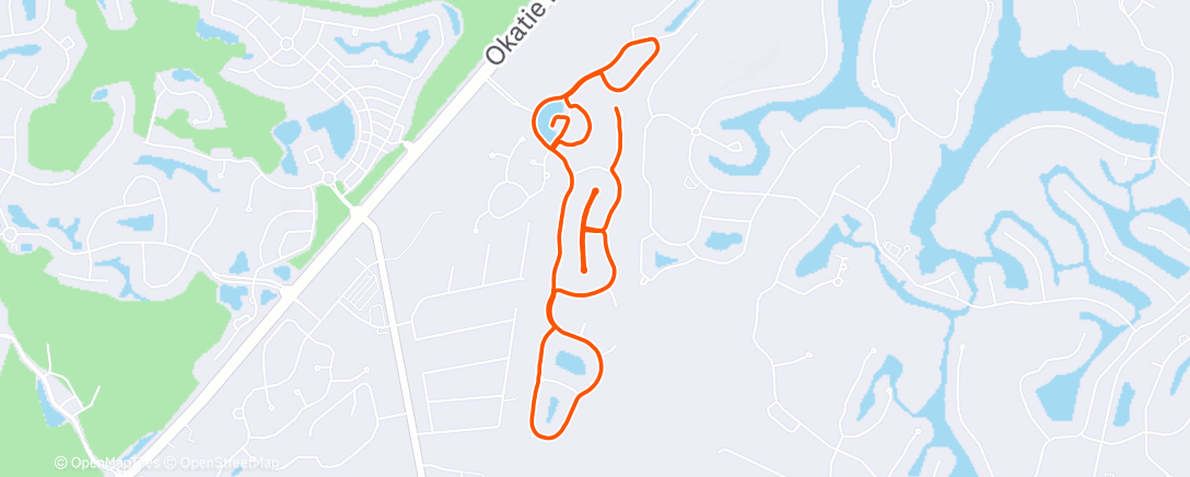 Карта физической активности (Morning Run)