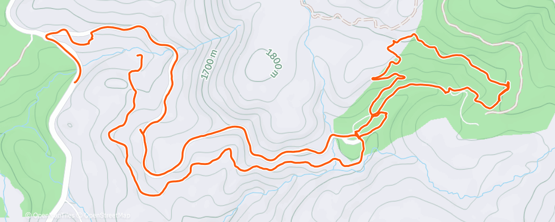 Карта физической активности (Lunch Hike)